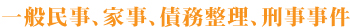 一般民事、家事、債務整理、刑事事件